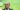 gilmar-suspende-por-um-mes-conciliacao-do-marco-temporal-indigena