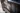 ms:-militar-do-exercito-e-ferido-a-tiros-apos-briga-de-familia-ao-sairem-do-carnaval-–-folha-de-dourados-–-noticias-de-dourados-ms-e-regiao