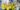 brasil-conquista-a-copa-america-de-beach-soccer-pela-quarta-vez
