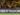 corinthians-joga-mal-e-se-complica-na-pre-libertadores