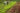 ce-discute-acompanhamento-do-pnae-por-entidades-de-agricultores-familiares