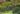 brasilia-ambiental-promove-consulta-publica-sobre-a-criacao-do-parque-pira-brasilia