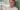 jair-bolsonaro-tem-alta-apos-tres-semanas-internado-em-brasilia